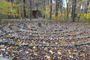 Labyrinth Covered in Leaves